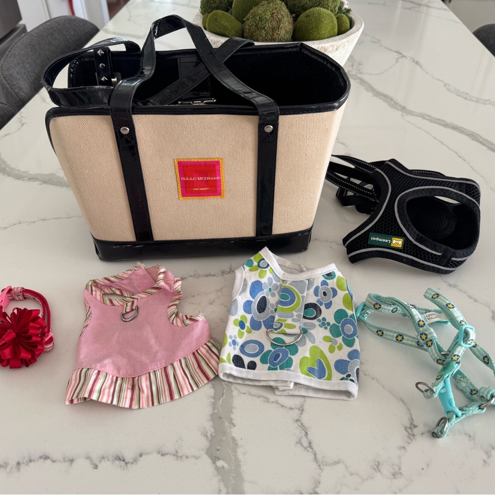Stylish Small puppy  Accessories Set - Pink, Blue, Black